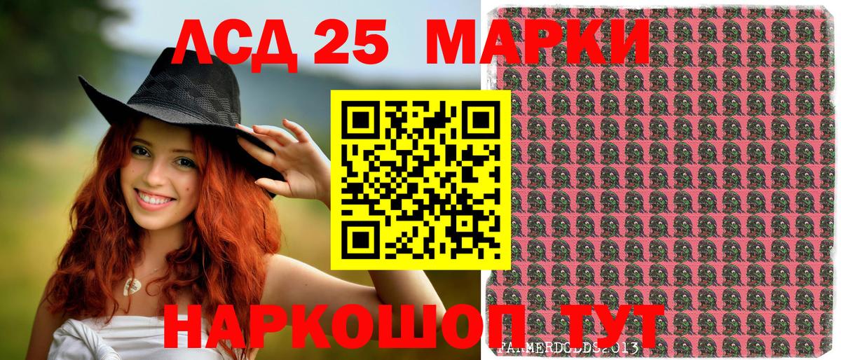 Холмск  Наркотические марки 1,8мг  купить наркотики сайты  Вход с VPN 