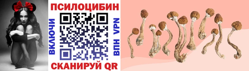 ссылка на мегу ТОР  Холмск  Псилоцибиновые грибы MAGIC MUSHROOMS 