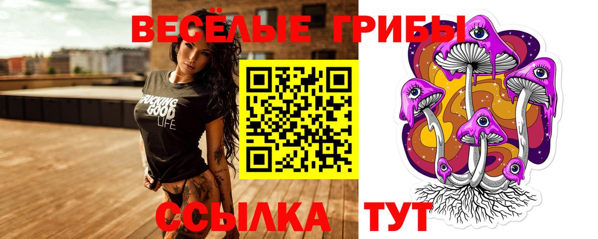 закладка  Псилоцибиновые грибы GOLDEN TEACHER  Вход с VPN  Холмск 