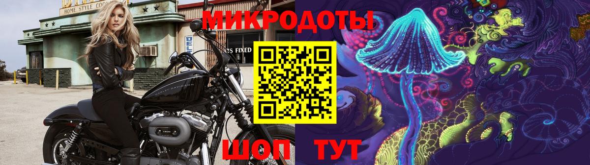 Галлюциногенные грибы прущие грибы Холмск
