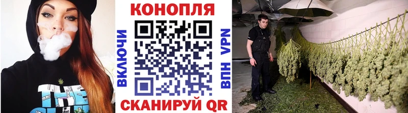 Шишки марихуана сатива Холмск